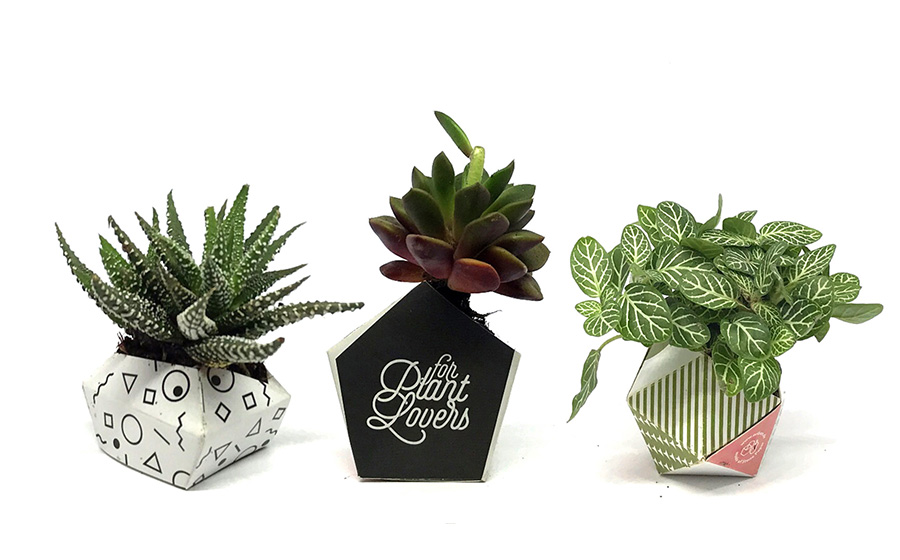 MODERN-3OriBon – Bild 3